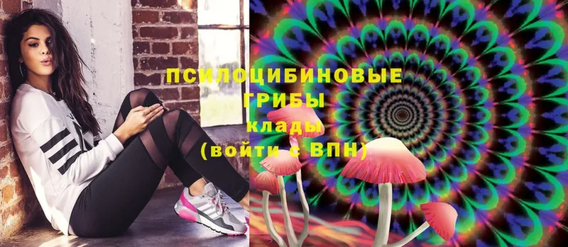 Псилоцибиновые грибы Cubensis  mega зеркало  Шлиссельбург 